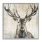 Stupell Industries Rustic Deer Elk Wildlife Portrait Framed Giclee Art